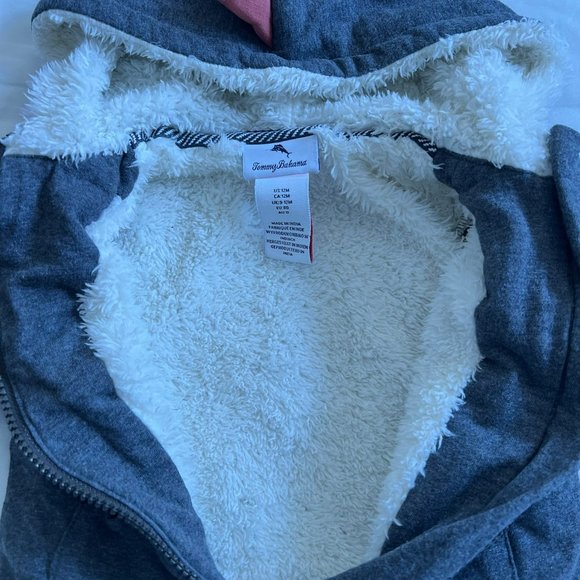 Tommy Bahama 12m Dinosaur Sweatshirt - Picture 3 of 4